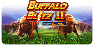 Buffalo Blitz 2