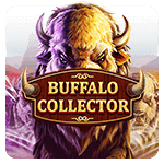Buffalo Collector
