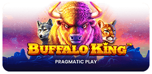 Buffalo King