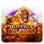 Buffalo On Fire