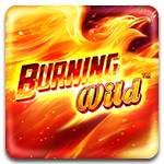 Burning Wild