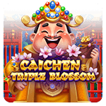 CAICHEN TRIPLE BLOSSOM