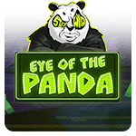 Eye of the Panda