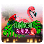 Flamingo Paradise