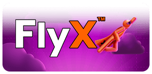 FlyX