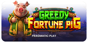 Greedy Fortune Pig