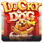 Lucky Dog