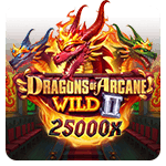 Dragons of Arcane Wild 2 by Microgaming
