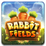 Rabbit Fields