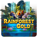 Rainforest Gold