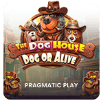 The Dog House Dog or Alive