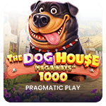 The Dog House Megaways 1000 by Pragmatic