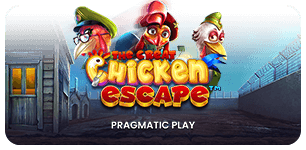 The Great Chicken Scape