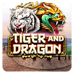 Tiger and Dragon