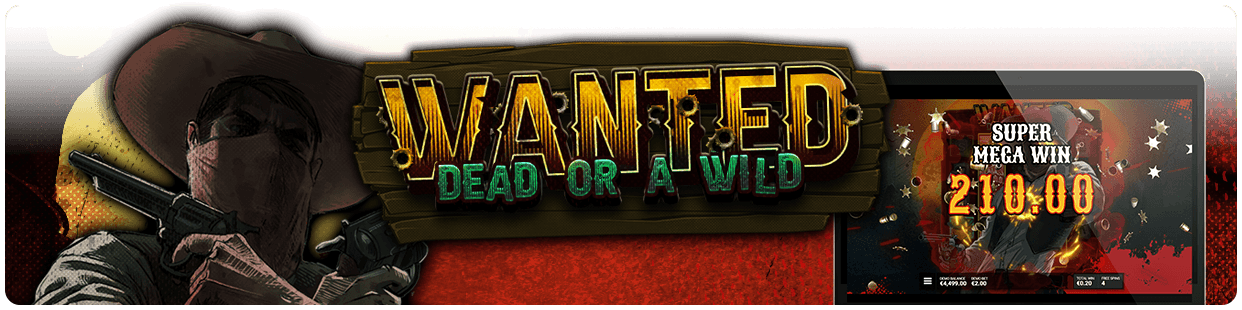 Wanted Dead or a Wild