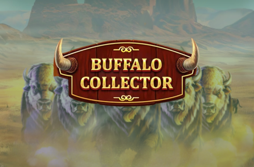 Buffalo Collector en YoCasino
